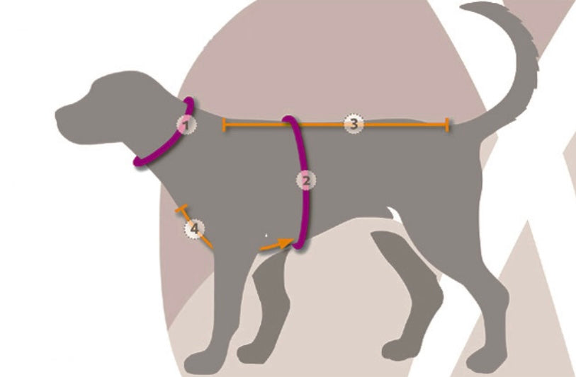 Harness Mira