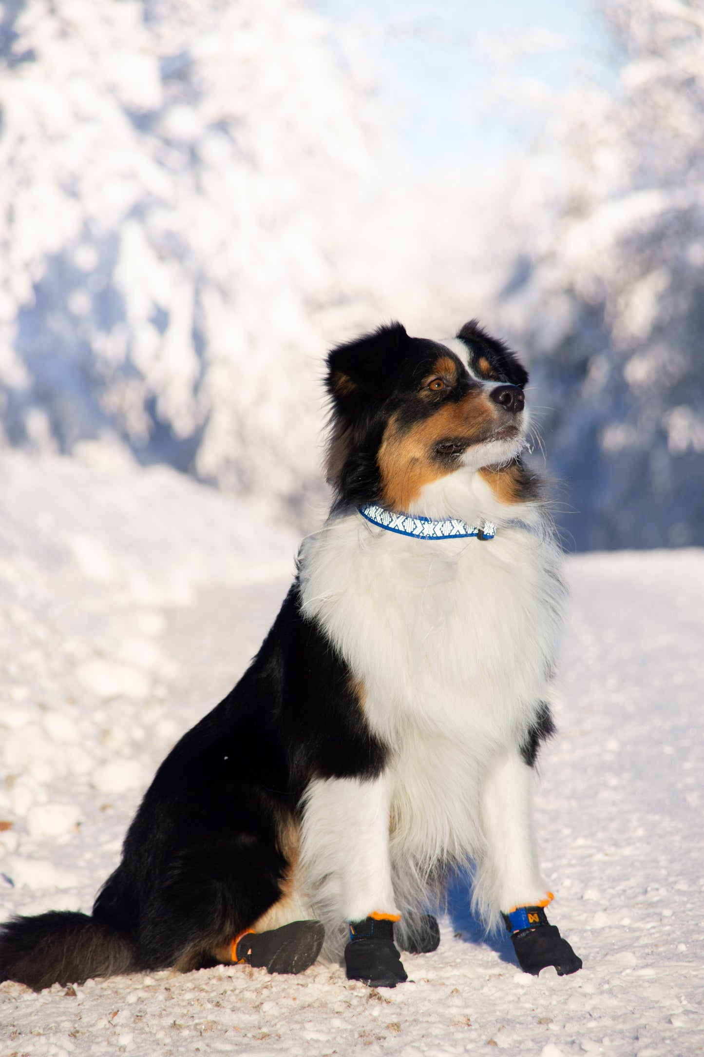 Ronja reflex Halsband spänne